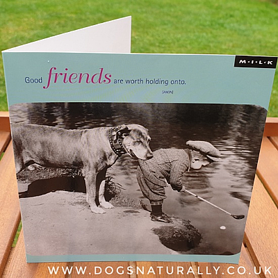 Good Friends Little Golfer Dog Greetings Card